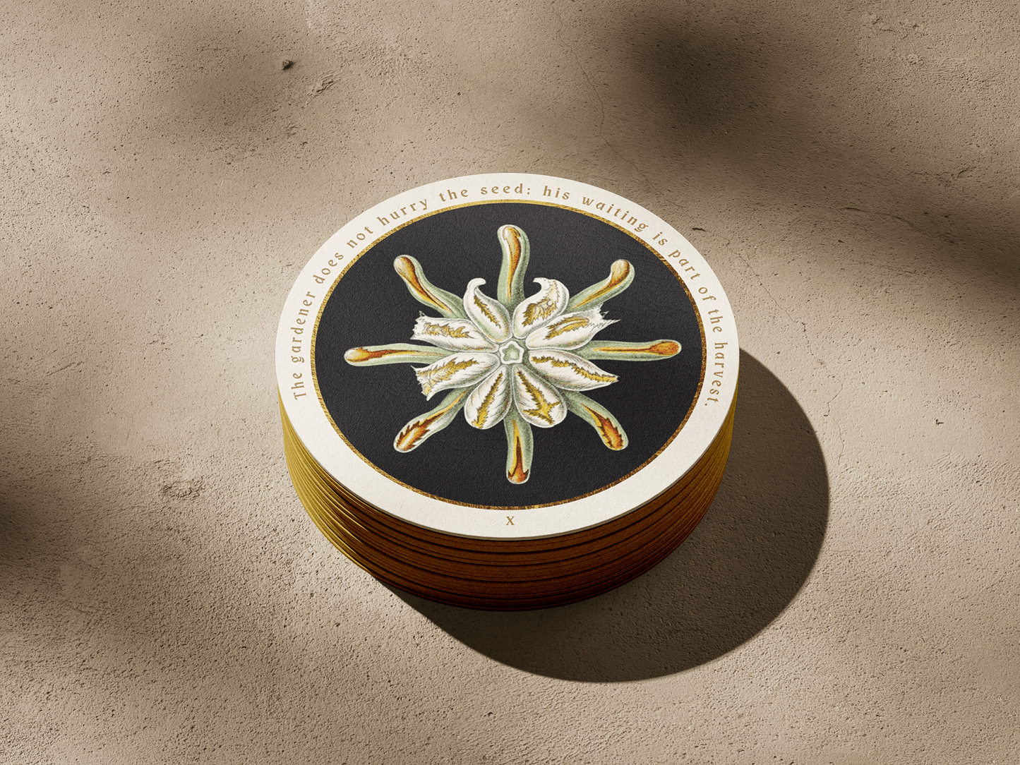 Fractals Of Nature Round Oracle Deck - preorder for April