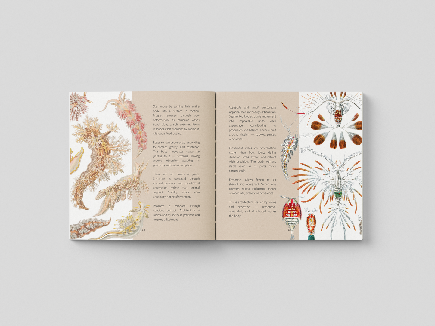 The Hidden Architecture of Nature - Hardcover Art Book