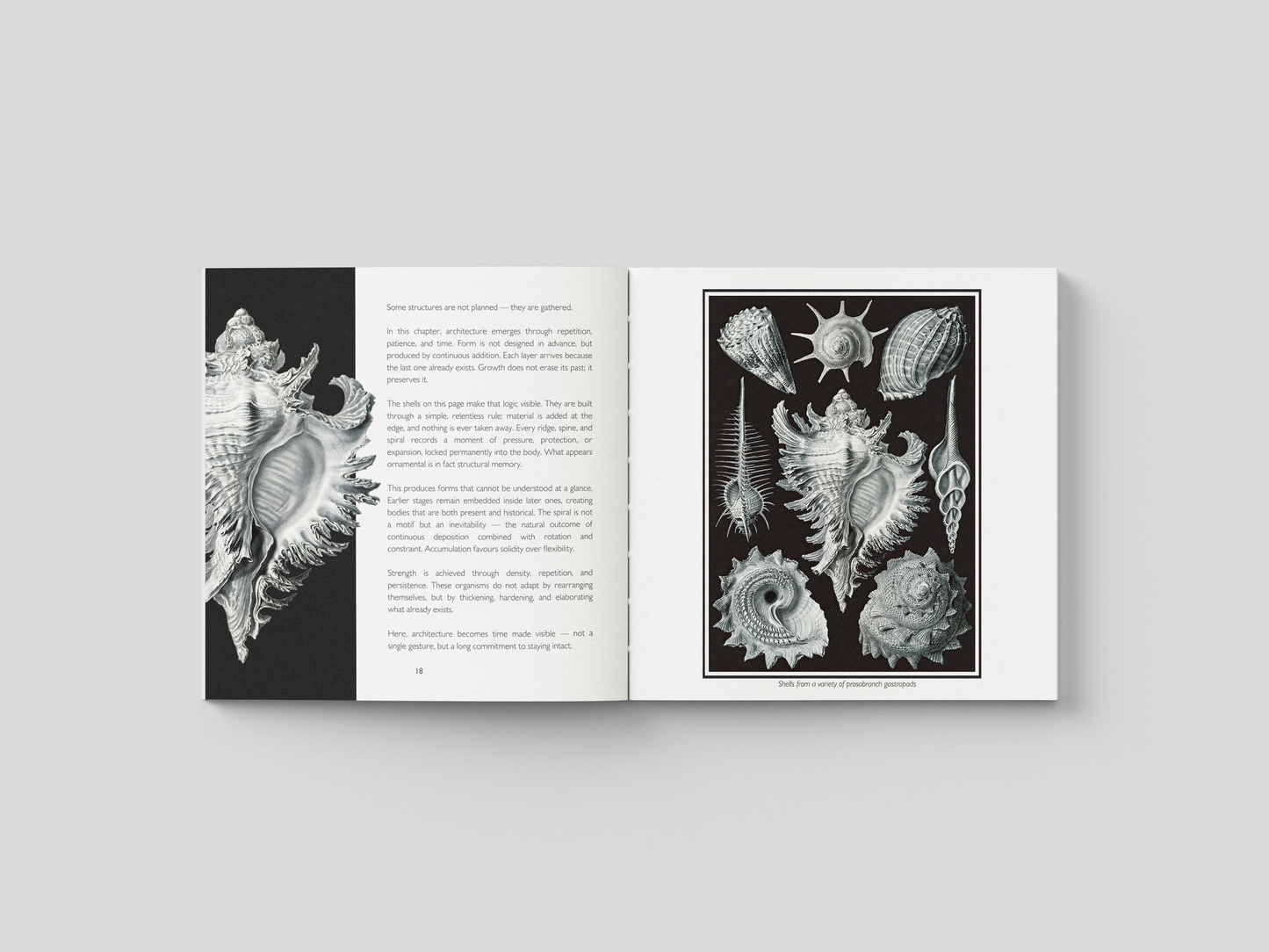 The Hidden Architecture of Nature - Hardcover Art Book