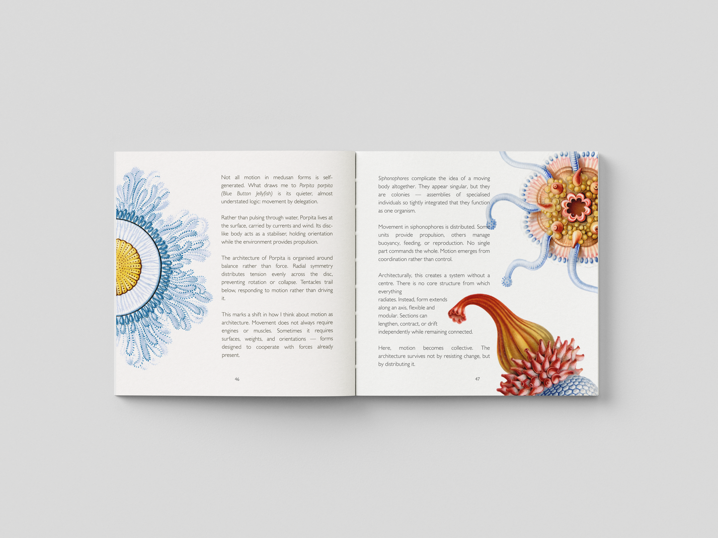 The Hidden Architecture of Nature - Hardcover Art Book