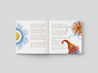 The Hidden Architecture of Nature - Hardcover Art Book